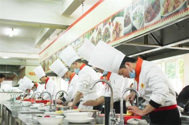 �W(xu��)���N����(y��ng)�xʲô�W(xu��)У��