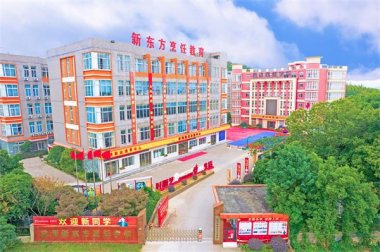 �����c(di��n)�������|����W(xu��)10����T���}���ɡ�