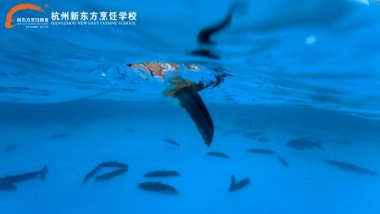 ��ú�ح�����|�����i������Ȥζ���Բ��ԵĲ���Ҫ����Ҫ�����~