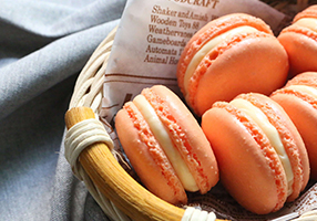 ��ʽ���c���ް�